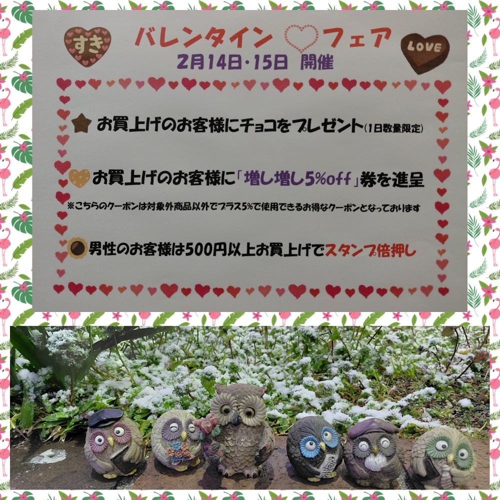 今月のイベント